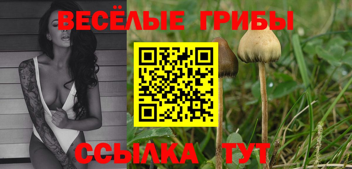 Псилоцибиновые грибы MAGIC MUSHROOMS Нурлат